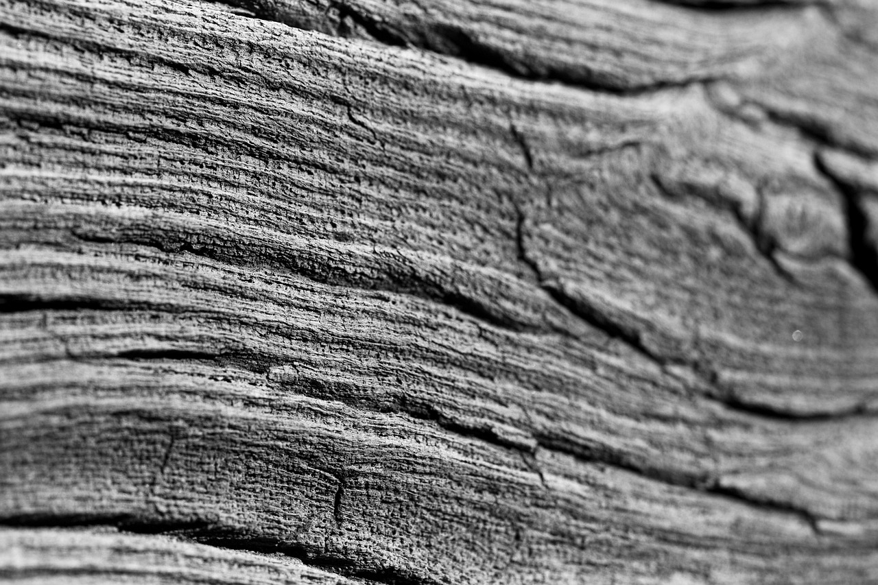 En este momento estás viendo Suelos de madera de roble: Belleza y durabilidad en un solo suelo